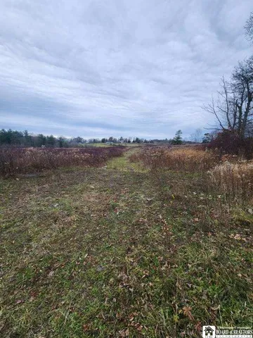 $65,000 | 1723 Manchester Road, Kiantone, NY 14701