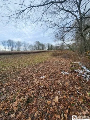 $75,000 | 1723 Manchester Road, Kiantone, NY 14701