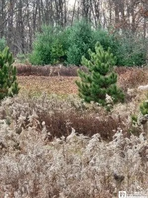 $75,000 | 1723 Manchester Road, Kiantone, NY 14701