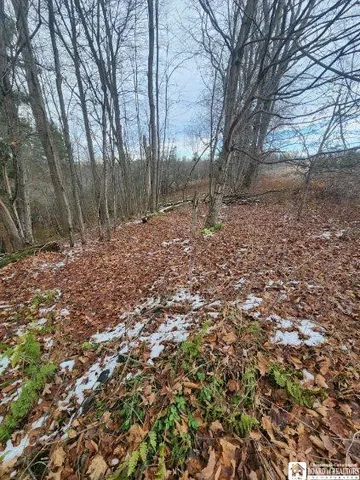 $75,000 | 1723 Manchester Road, Kiantone, NY 14701