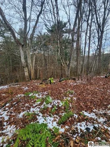 $75,000 | 1723 Manchester Road, Kiantone, NY 14701