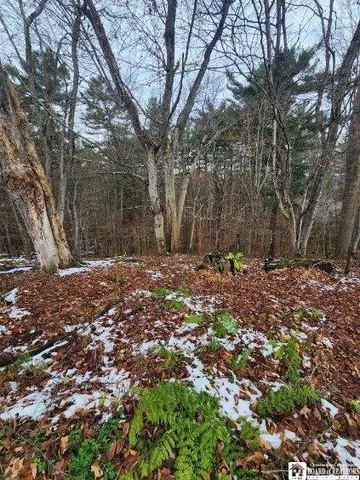 $75,000 | 1723 Manchester Road, Kiantone, NY 14701