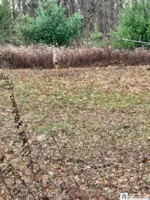 $75,000 | 1723 Manchester Road, Kiantone, NY 14701