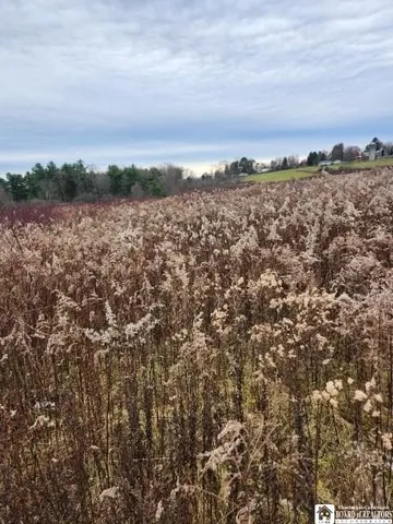 $75,000 | 1723 Manchester Road, Kiantone, NY 14701