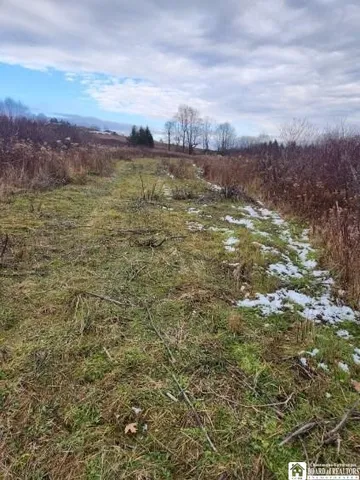 $75,000 | 1723 Manchester Road, Kiantone, NY 14701