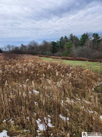 $75,000 | 1723 Manchester Road, Kiantone, NY 14701