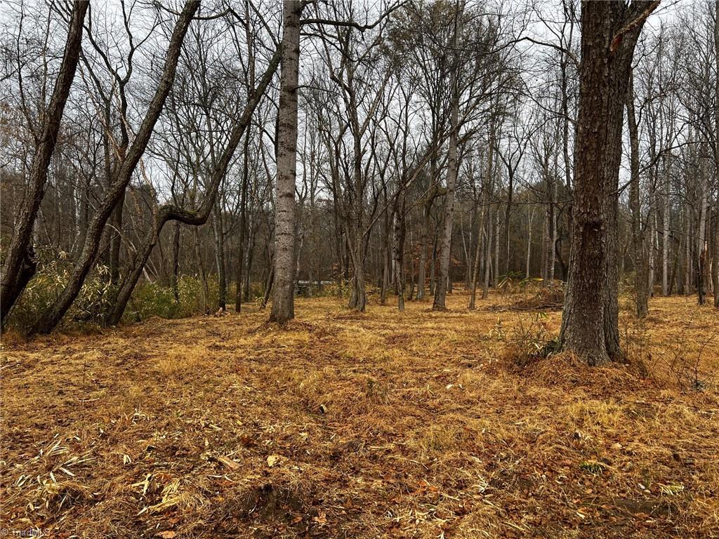 150 A Lookout Dam Road Statesville, NC 28625 - Photo 33 of 33