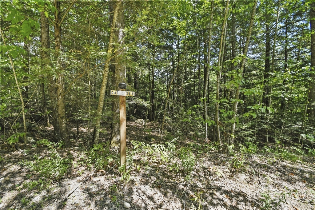 286-288 Butterworth Road Orange, MA 01364 - Photo 26 of 28 Gallery Image 26