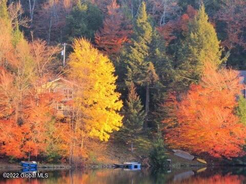 18 Beach Road Grafton, NY 12138 - Photo 21 of 27 lake 4