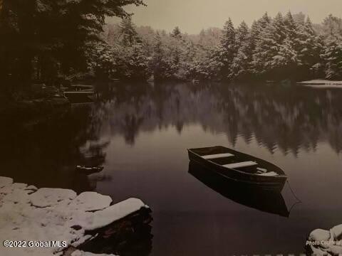 18 Beach Road Grafton, NY 12138 - Photo 25 of 27 lake 8