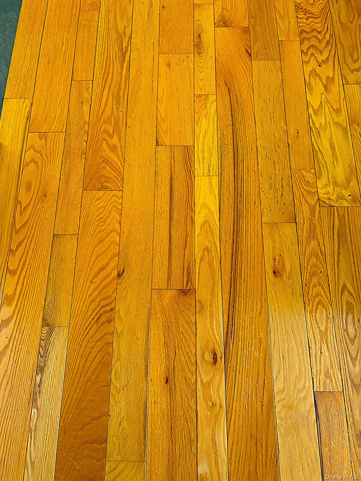 33 Twin Bridges Road Copake, NY 12529 - Photo 25 of 35 Gallery Image 25