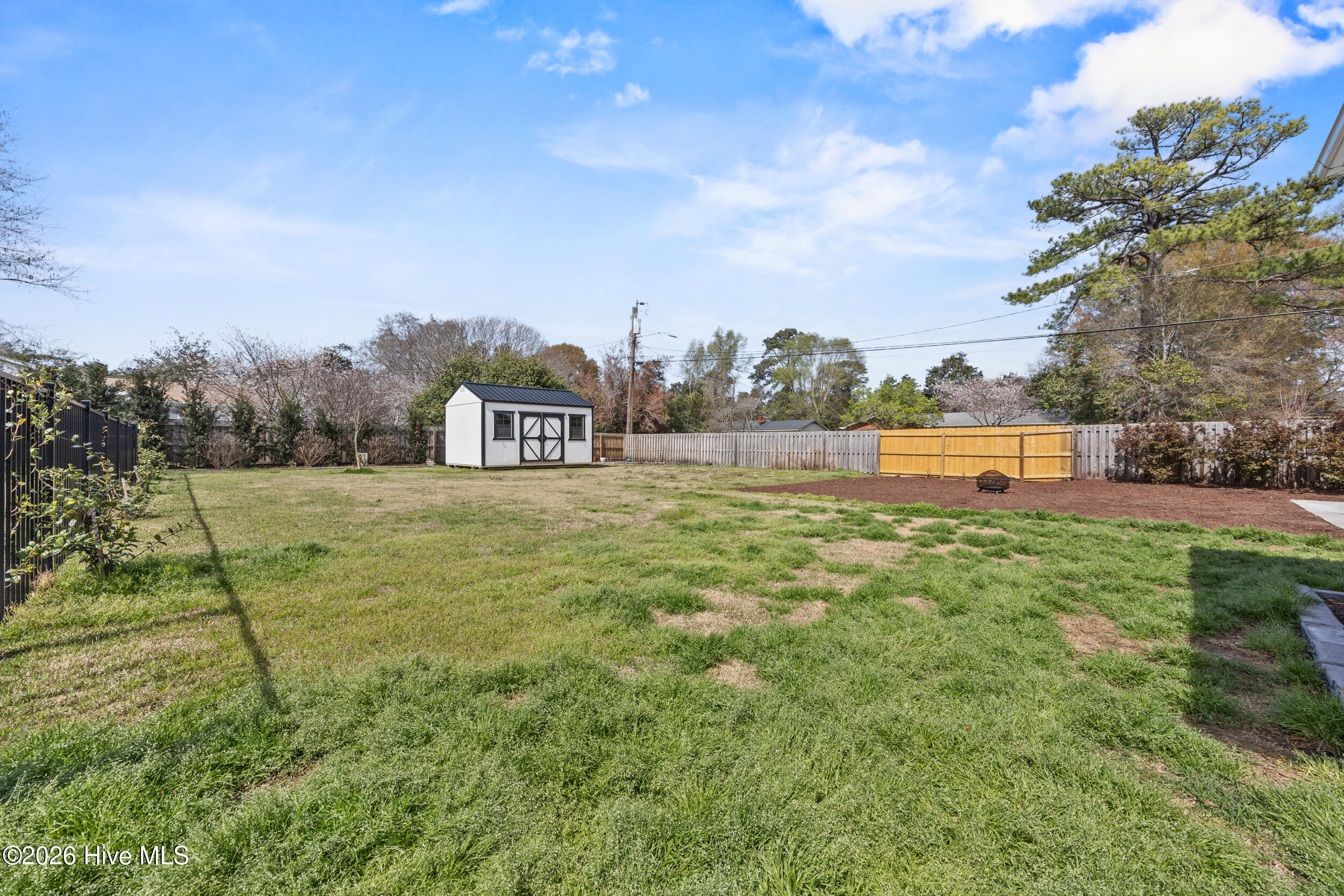 1702 Lincoln Road Wilmington, NC 28403 - Photo 38 of 45 Back yard and shed