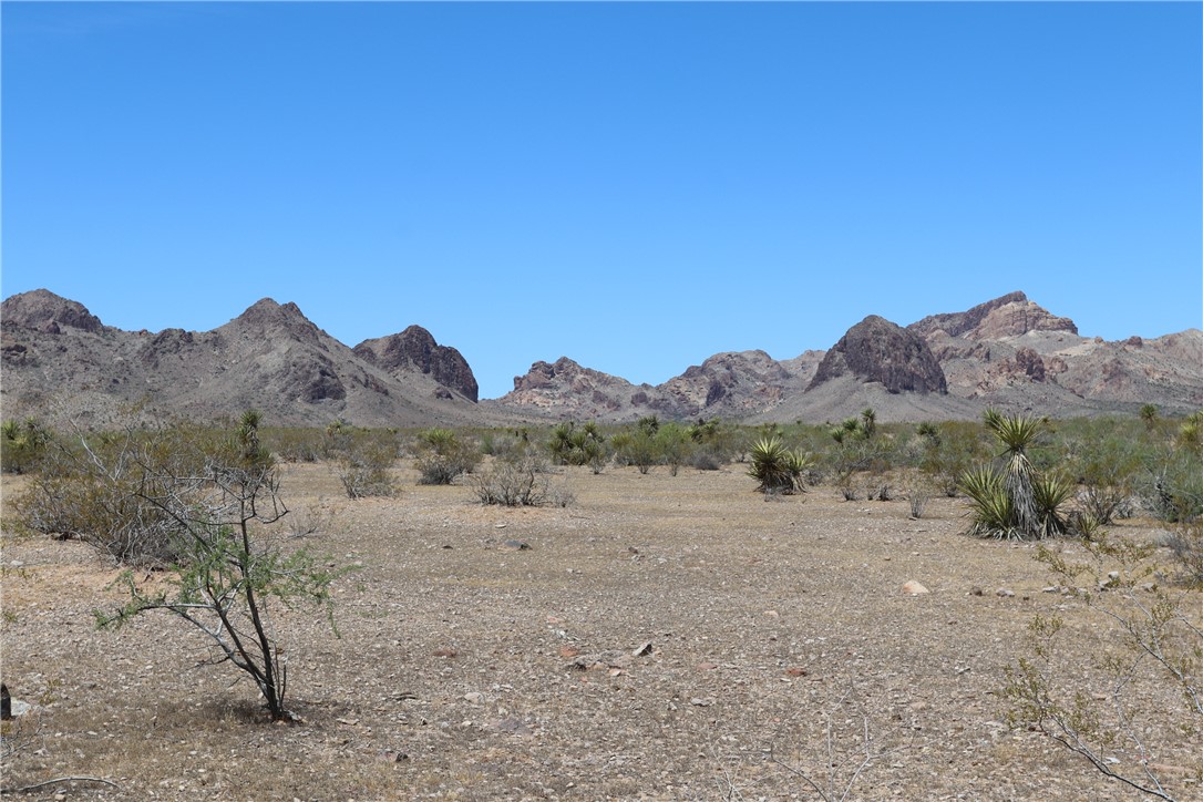 3853 Naco Road Golden Valley, AZ 86413 - Photo 7 of 16 View