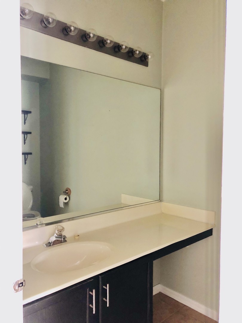 1675 Kautz Road Aurora, IL 60504 - Photo 10 of 57 a bathroom with a sink and a mirror