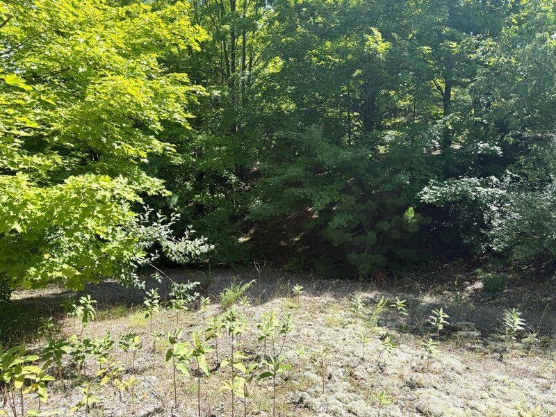 5 East Meander Lane Cedar, MI 49621 - Photo 14 of 19