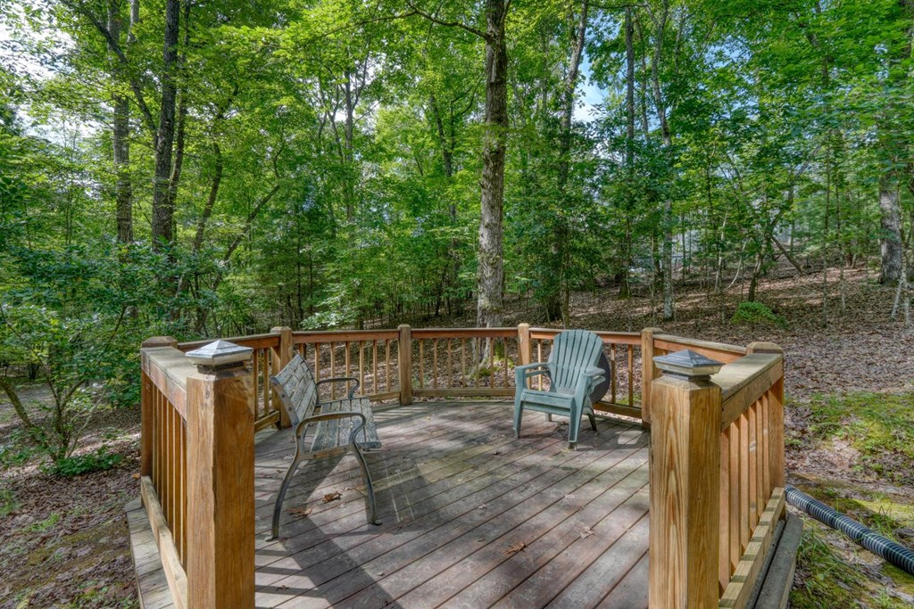 121 Laurel Ridge Morganton, GA 30560 - Photo 37 of 53