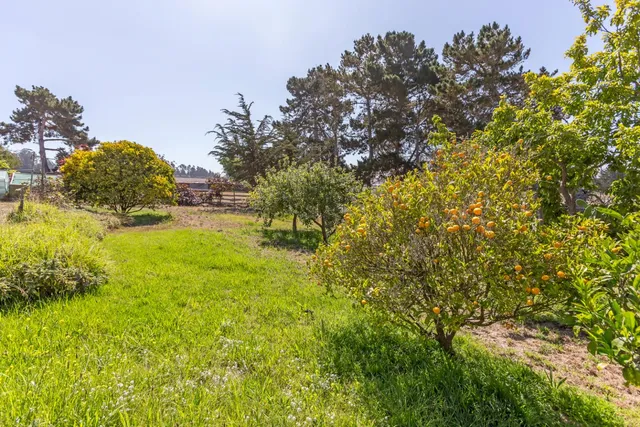$2,899,000 | 125 Springfield Road, Moss Landing, CA 95039