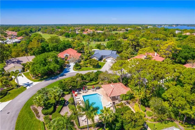 a view of a flower in a garden