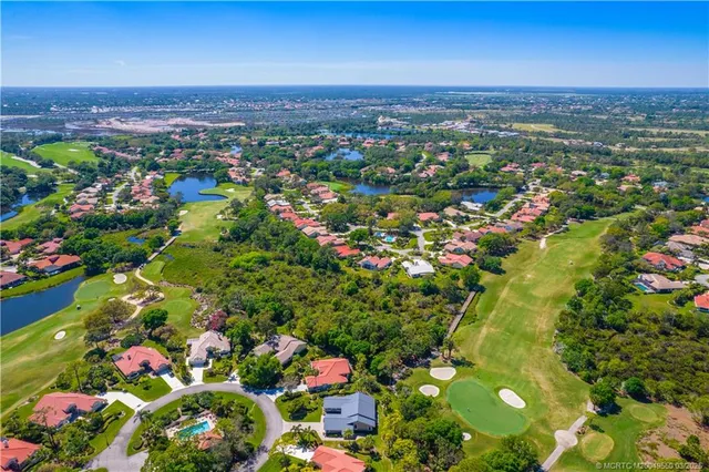 a view of city and flowers