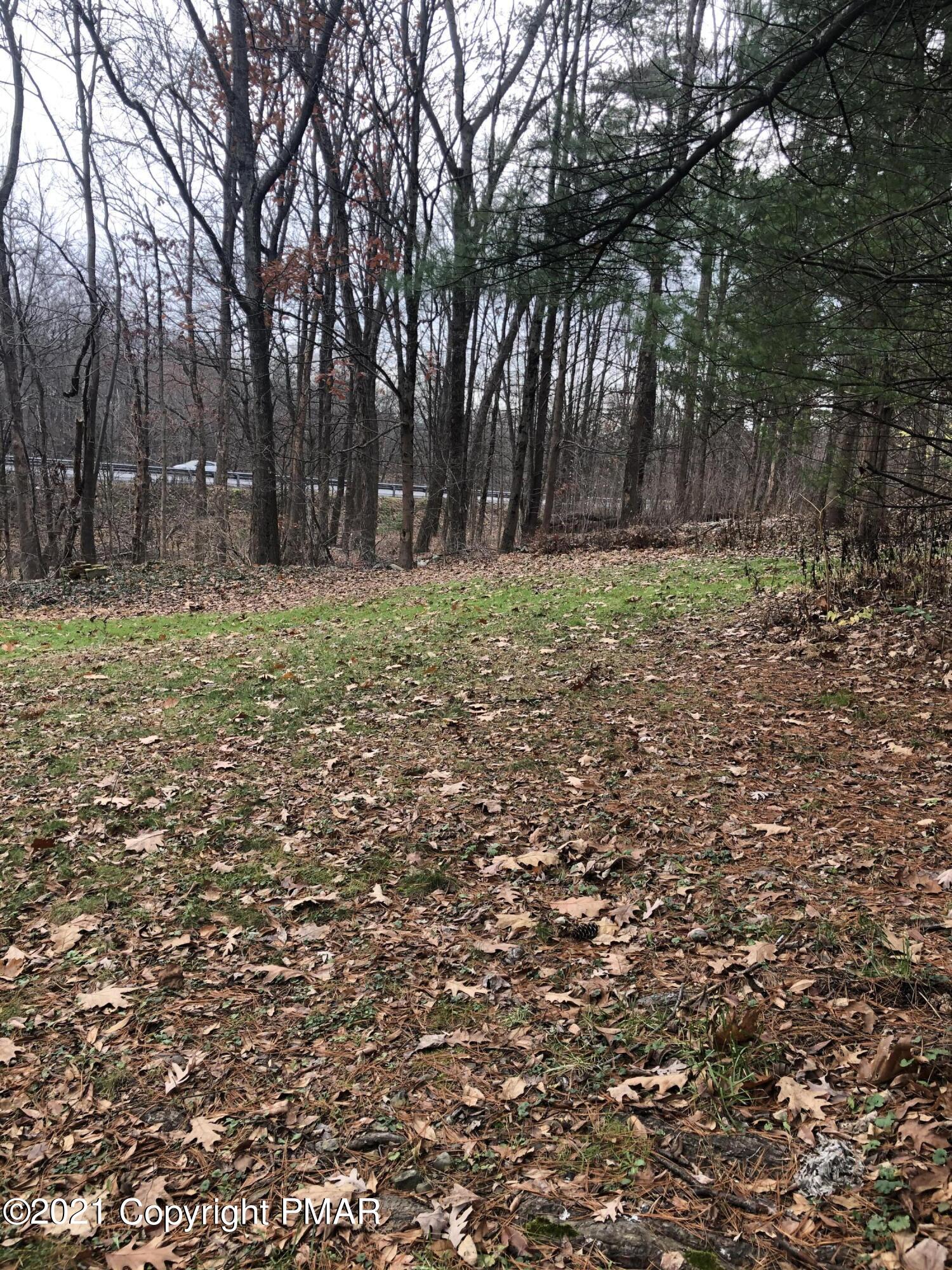5262 Shafer Road Stroudsburg, PA 18360 - Photo 2 of 3 a fire hydrant in the middle of a field