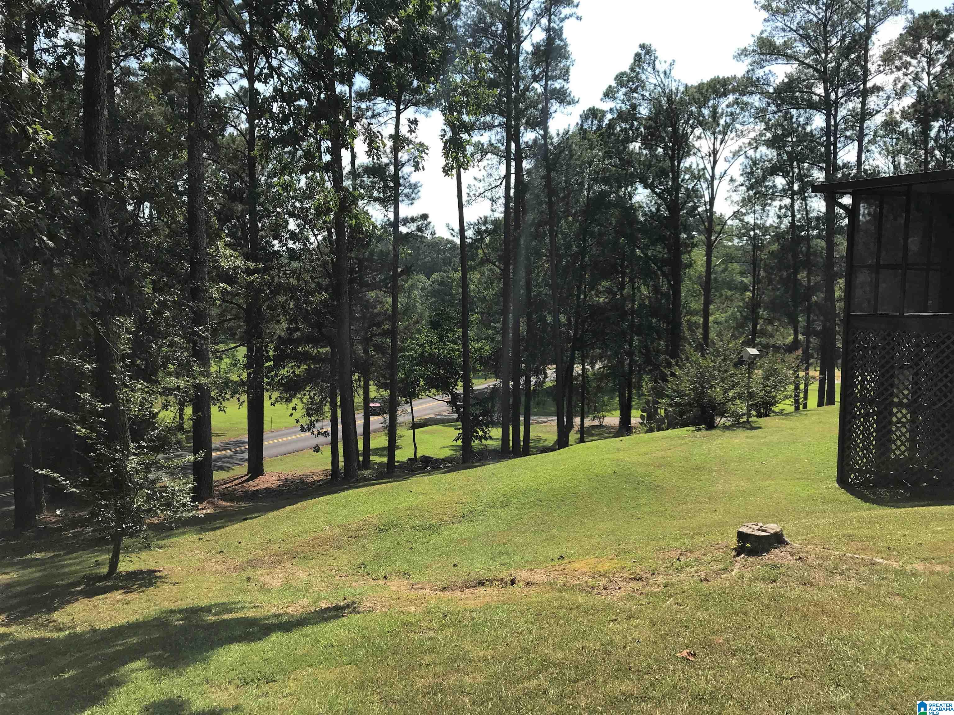 2880 Self Creek Road Warrior, AL 35180 - Photo 11 of 40