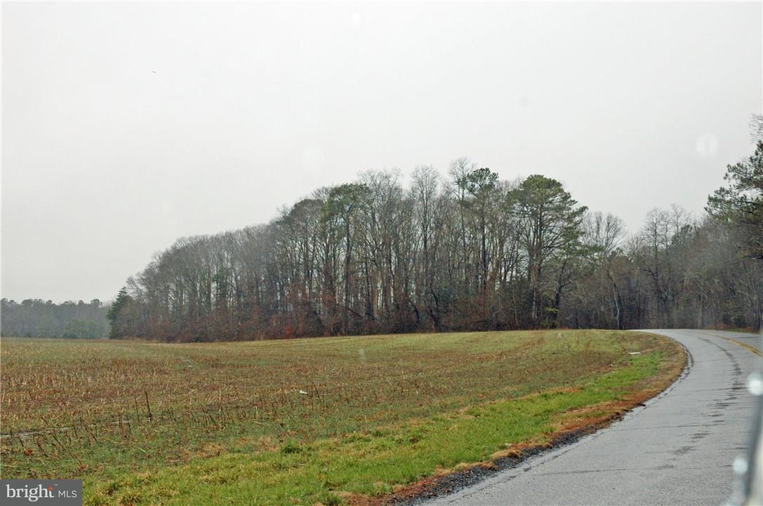 Lot Johnson Johnson Road Georgetown, DE 19947 - Photo 1 of 4 Gallery Image 1