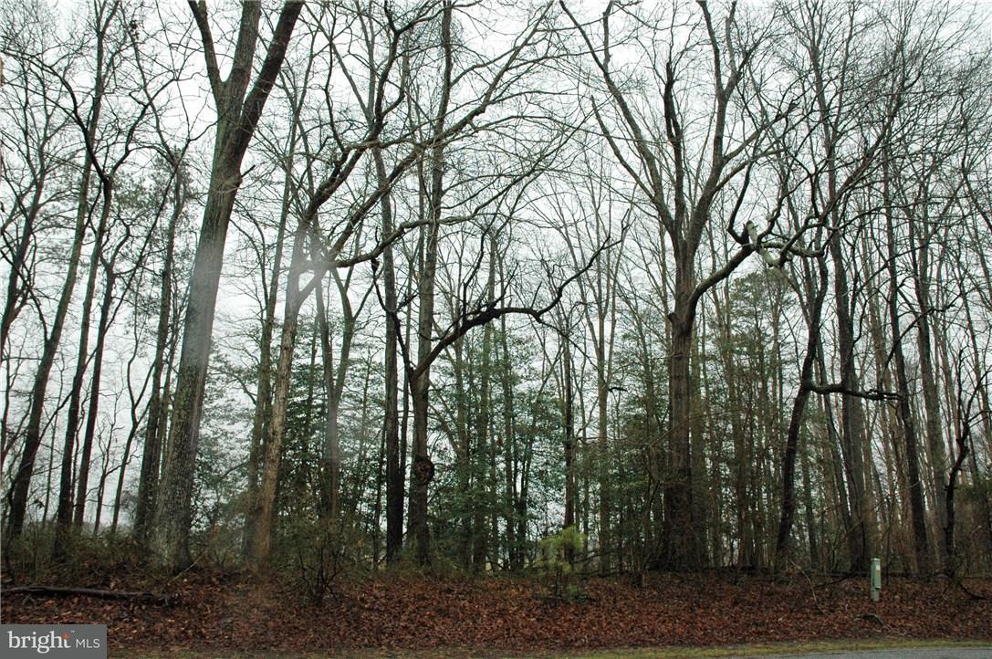 Lot Johnson Johnson Road Georgetown, DE 19947 - Photo 2 of 4 Gallery Image 2