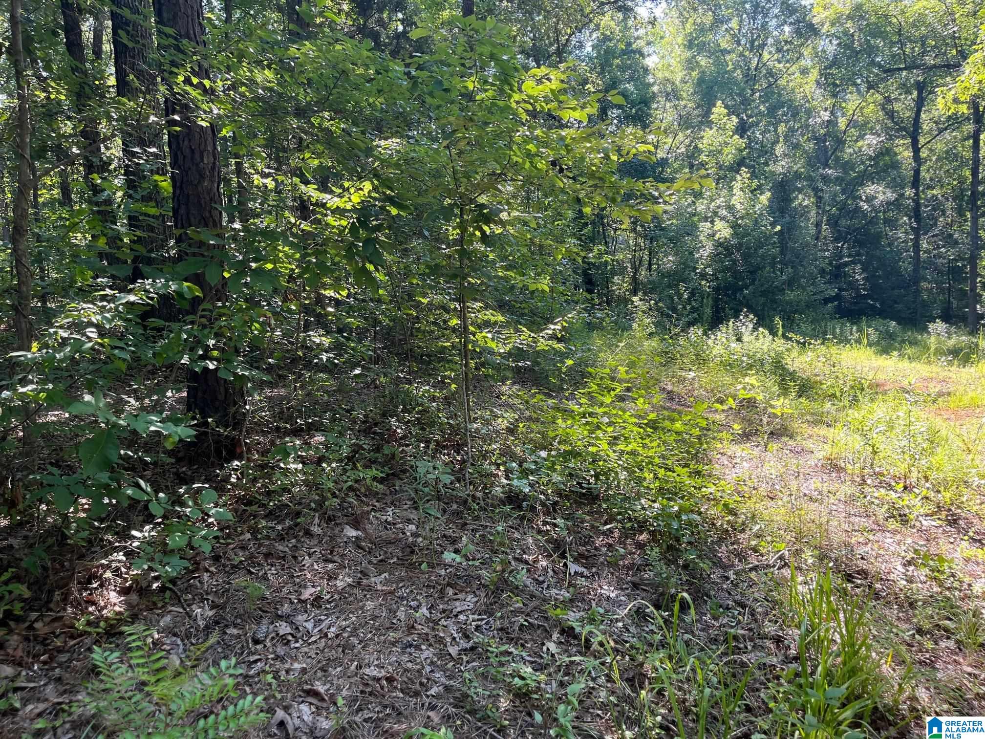 5170 Mcgowans Ferry Road Childersburg, AL 35044 - Photo 3 of 5