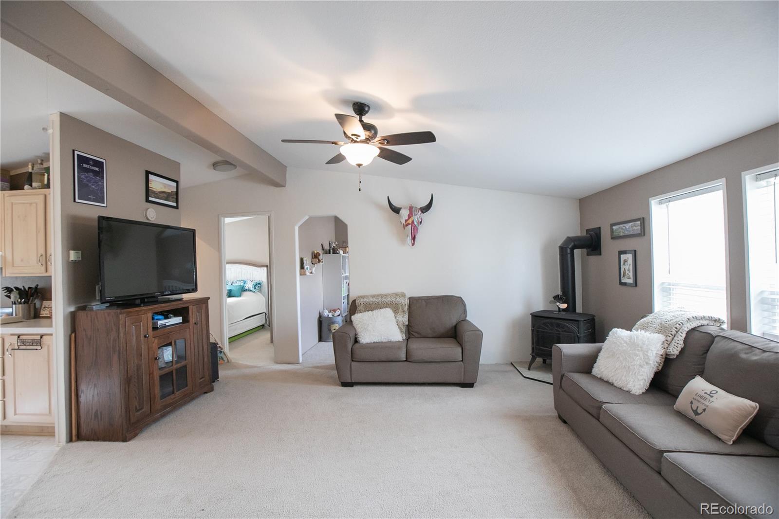 143 Sombrero Road Hartsel, CO 80449 - Photo 3 of 25 a living room with furniture and a flat screen tv