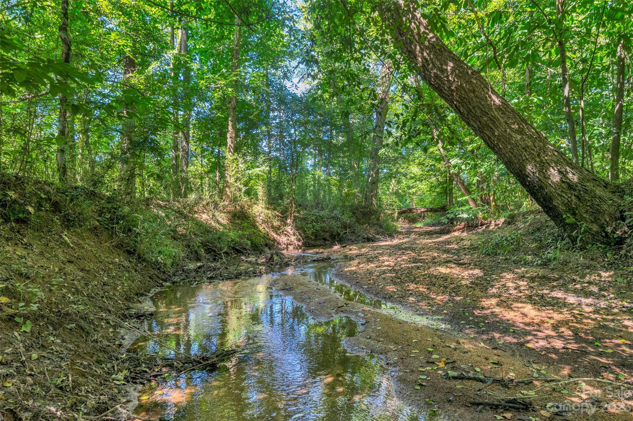 0 Hopewell Church Road, Unit 4 Blackstock, SC 29014 - Photo 11 of 37 Gallery Image 11