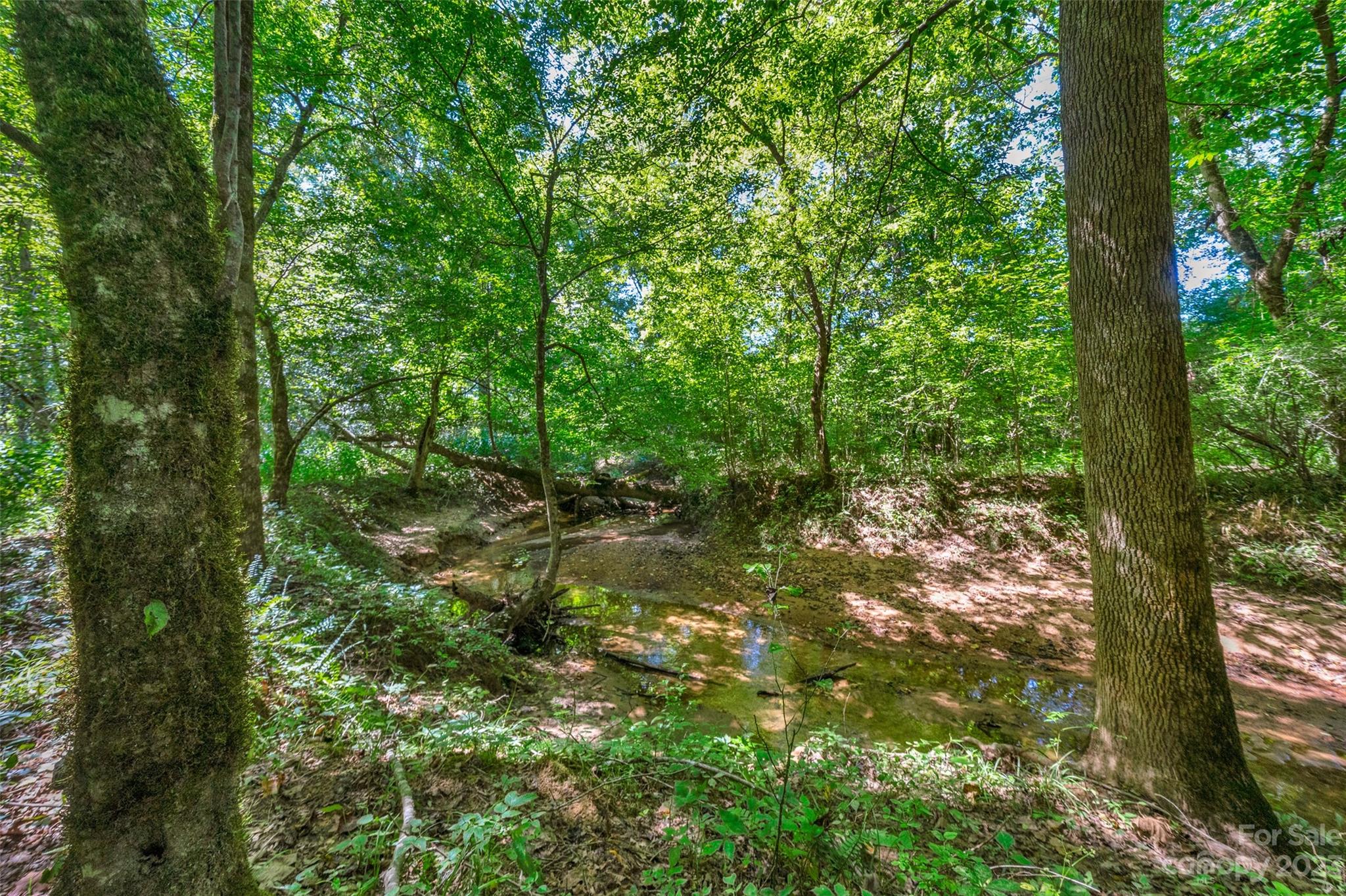0 Hopewell Church Road, Unit 4 Blackstock, SC 29014 - Photo 12 of 37 Gallery Image 12