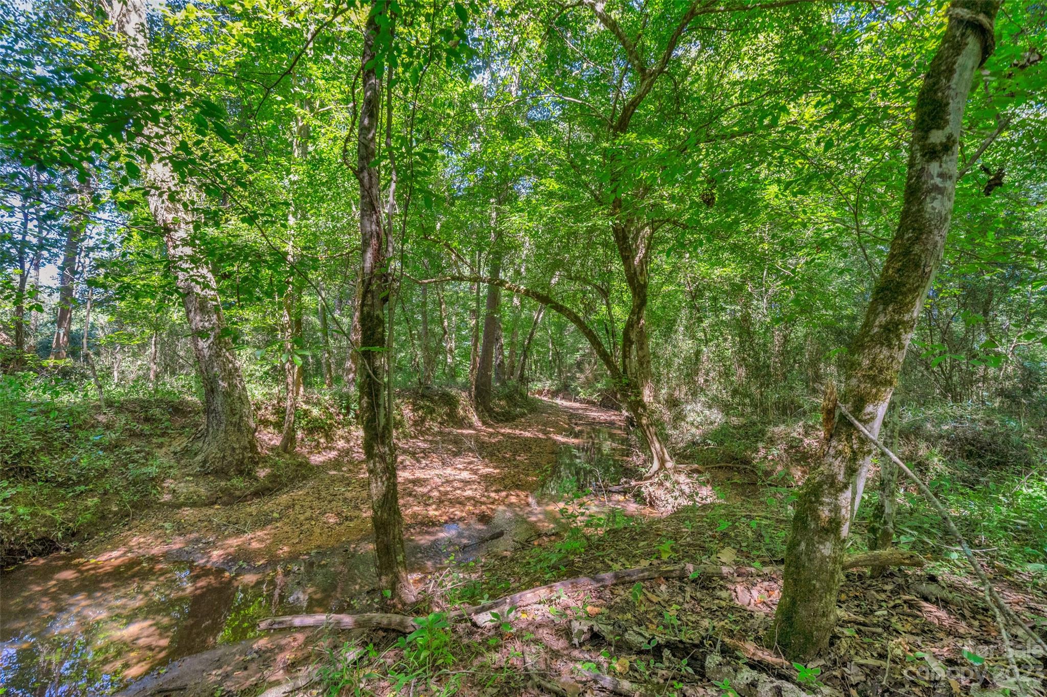 0 Hopewell Church Road, Unit 4 Blackstock, SC 29014 - Photo 14 of 37 Gallery Image 14