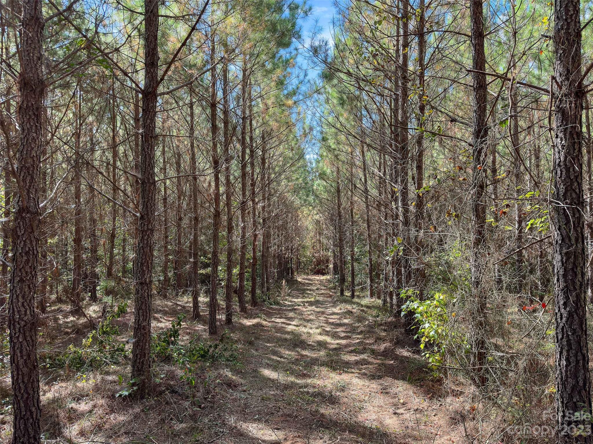 0 Hopewell Church Road, Unit 4 Blackstock, SC 29014 - Photo 16 of 37 Gallery Image 16