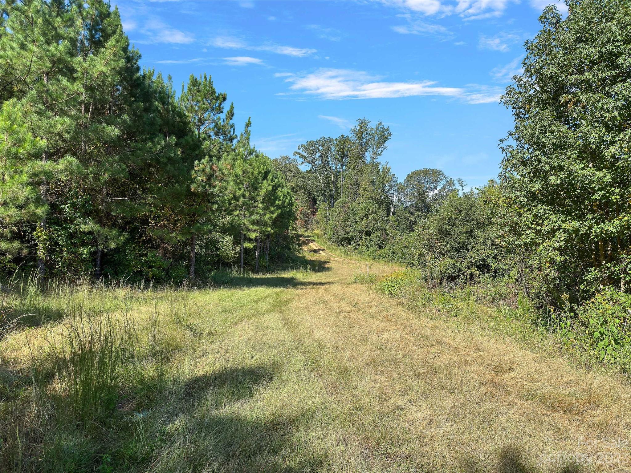0 Hopewell Church Road, Unit 4 Blackstock, SC 29014 - Photo 18 of 37 Gallery Image 18