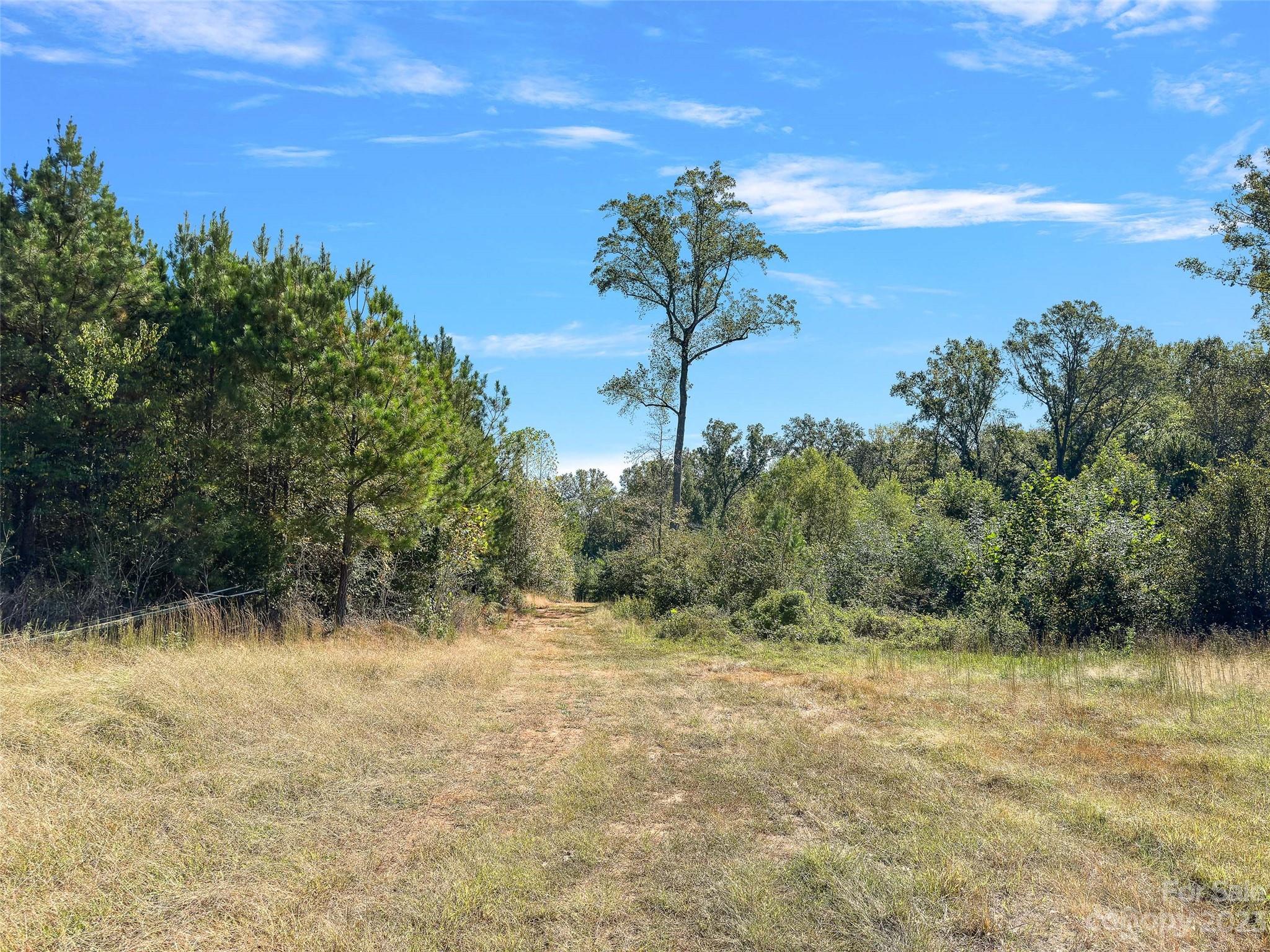 0 Hopewell Church Road, Unit 4 Blackstock, SC 29014 - Photo 2 of 37 Gallery Image 2
