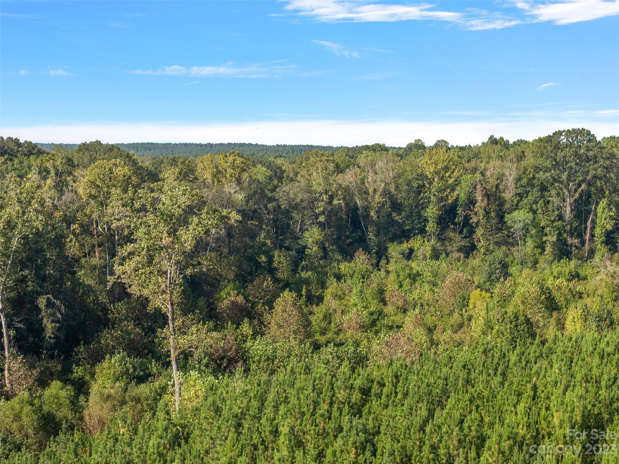 0 Hopewell Church Road, Unit 4 Blackstock, SC 29014 - Photo 21 of 37 Gallery Image 21