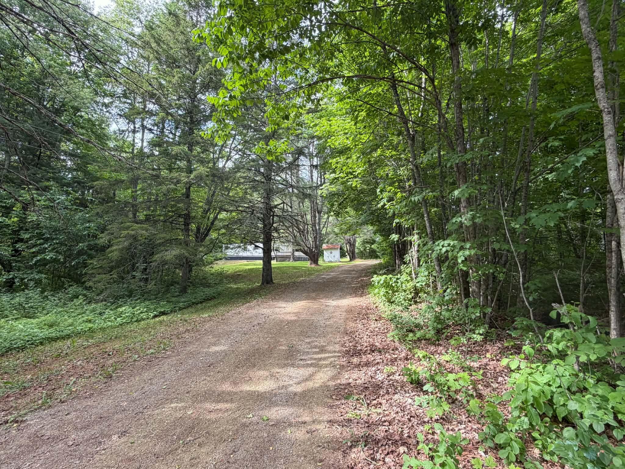 895 West Plymouth Road Etna, ME 04434 - Photo 2 of 14 07d8b633-7418-4e10-a289-59d3b890a4b7