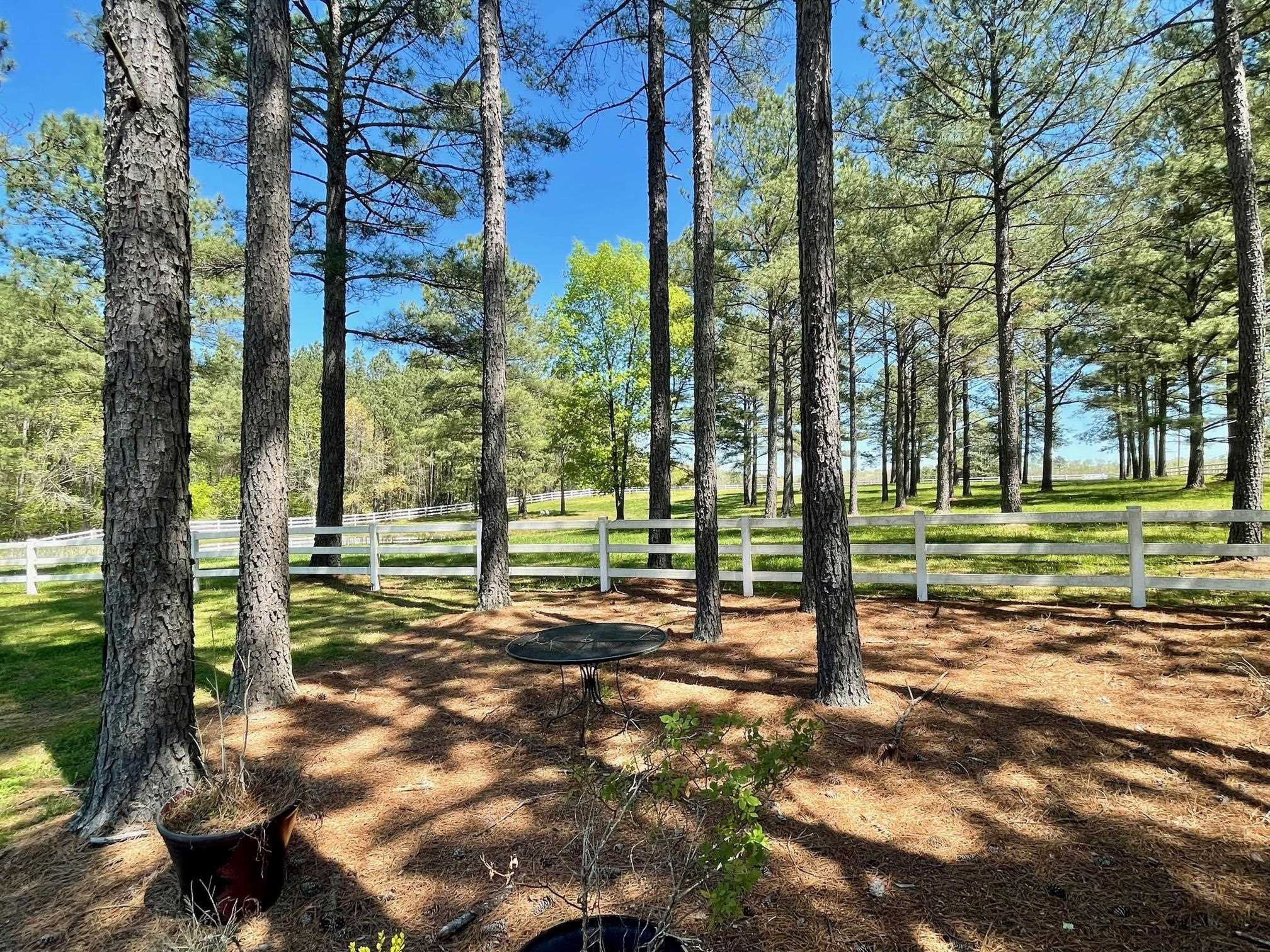 7101 Dexter Road Oxford, NC 27565 - Photo 11 of 53 Photo 11