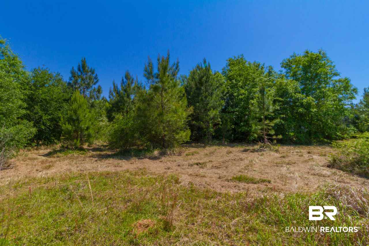 15748 Carver Road Foley, AL 36535 - Photo 6 of 6 Gallery Image 6