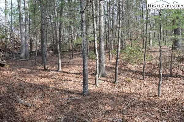 $24,900 | Lot #6 Cubs Lane, Sparta, NC 28675
