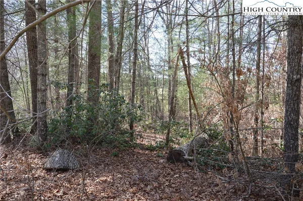 $24,900 | Lot #6 Cubs Lane, Sparta, NC 28675