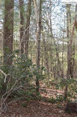 $24,900 | Lot #6 Cubs Lane, Sparta, NC 28675
