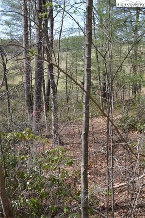 $24,900 | Lot #6 Cubs Lane, Sparta, NC 28675