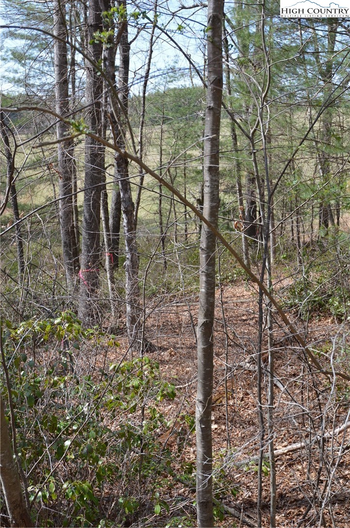 Lot #6 Cubs Lane Sparta, NC 28675 - Photo 16 of 37 a backyard of a house with lots of green space