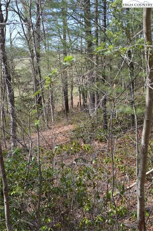 $24,900 | Lot #6 Cubs Lane, Sparta, NC 28675