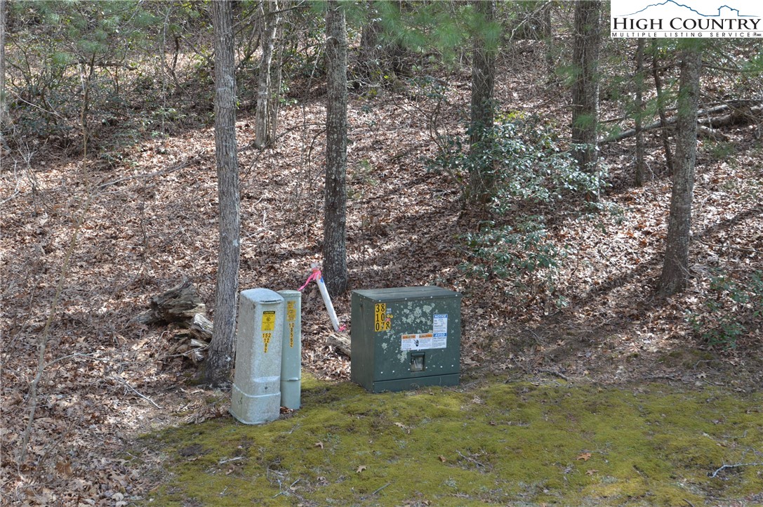 Lot #6 Cubs Lane Sparta, NC 28675 - Photo 18 of 37 a view of a wooden wall with trees in the background