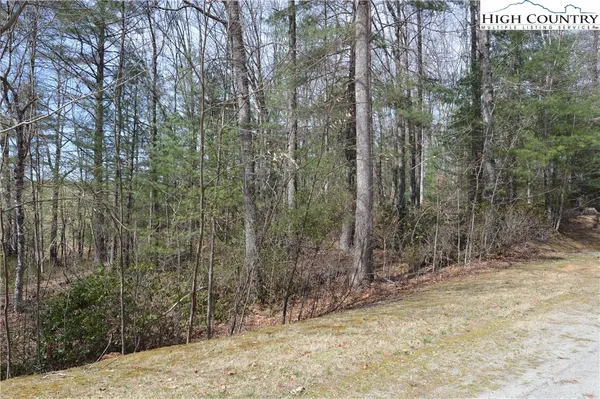 $24,900 | Lot #6 Cubs Lane, Sparta, NC 28675