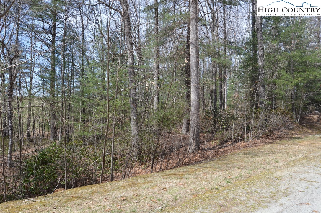 Lot #6 Cubs Lane Sparta, NC 28675 - Photo 19 of 37 a view of a yard with trees