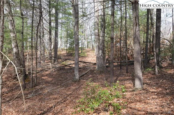 $24,900 | Lot #6 Cubs Lane, Sparta, NC 28675