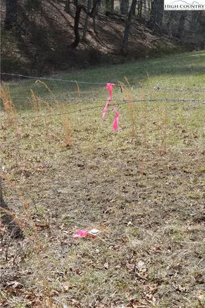 $24,900 | Lot #6 Cubs Lane, Sparta, NC 28675